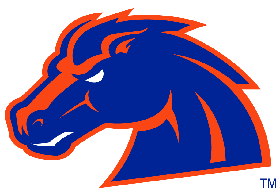 Boise State Broncos 2002-2012 Secondary Logo v5 diy DTF decal sticker